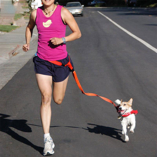 ActivePaw Running Leash