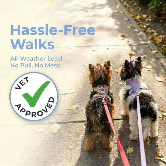 PawCred Dog Harness Kit